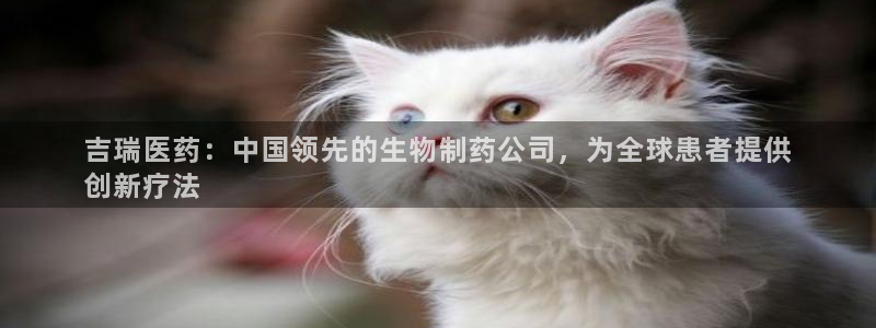 九游会集团菲律宾