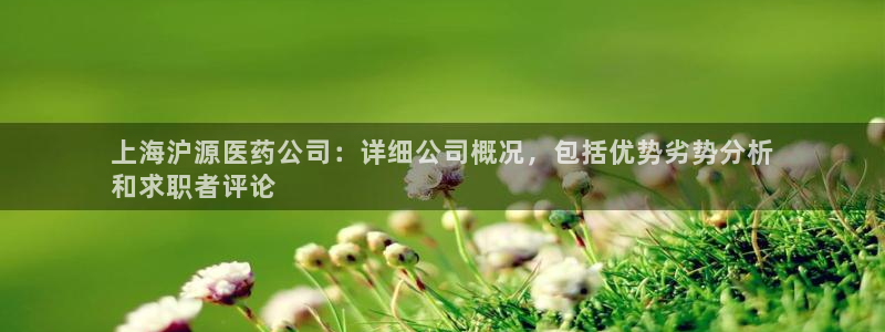九游j9官网：上海沪